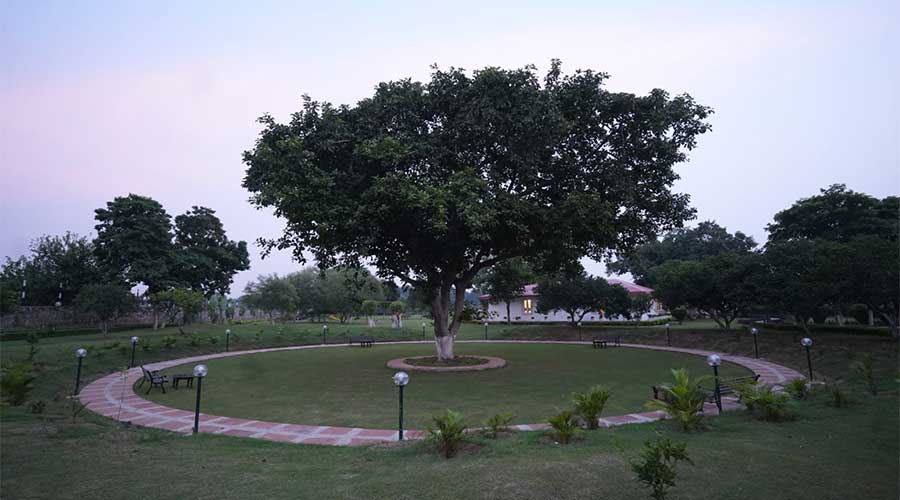 aroma-green-resorts-luxury-farmhouse-5